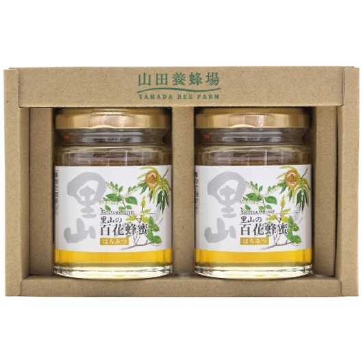 Rc{I YI2{Zbg S2-H2 摜1