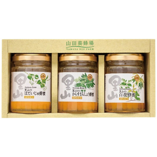 Rc{I YI3{Zbg S3-BHK 摜1