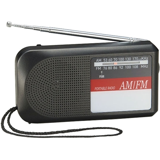 ĂEJ^Radio AFM-25PR 摜1