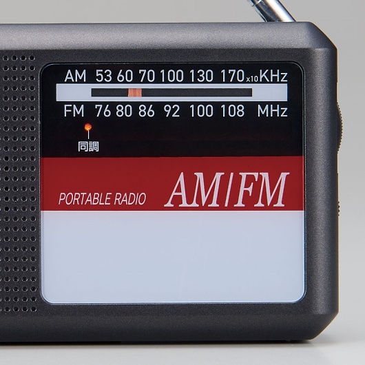 ĂEJ^Radio AFM-25PR 摜2