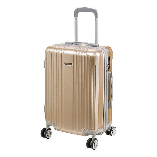 EK�L�����[�P�[�XL �S�[���h 05-5199-69 �摜1