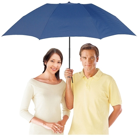 70cm�W�����{�y�ʃ~�j�P SFJ-30 �摜2