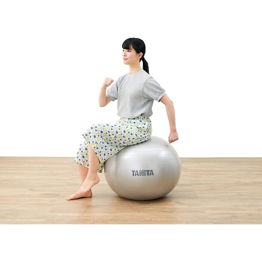 TANITA �^�j�^ �W���{�[�� TS-962-SV �摜2