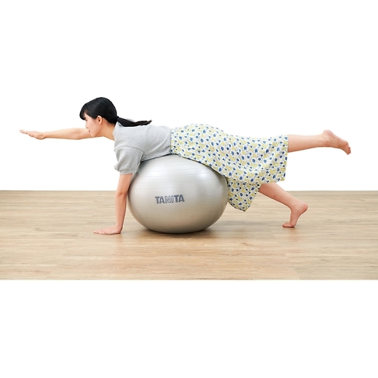 TANITA �^�j�^ �W���{�[�� TS-962-SV �摜3