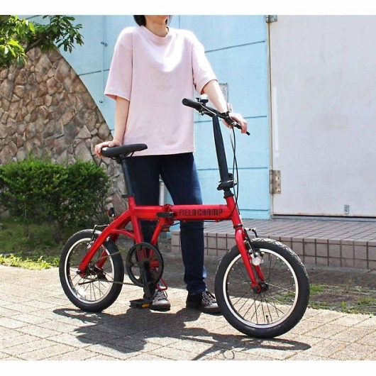 16�C���`�܏�ݎ��]��RD MG-FCP16RD �摜3