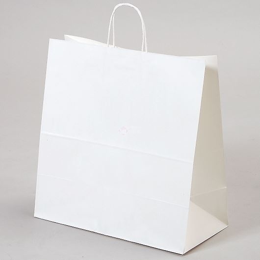  ەR y[p[obO nobOiLLj 45~22~45.5cm #3297000 摜1