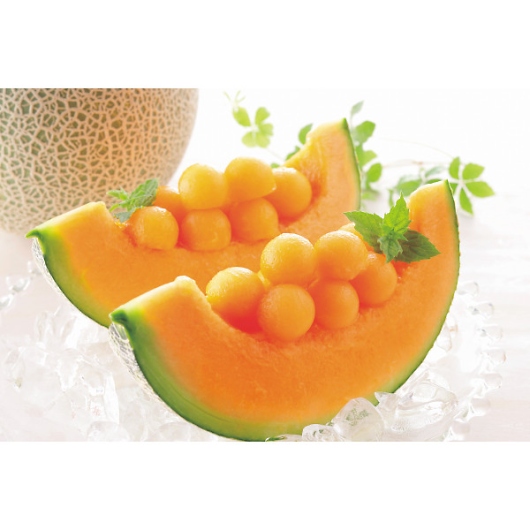 �k�C���Y�[�����������k�C���Y�x�ǖ상�����Z�b�g �摜2