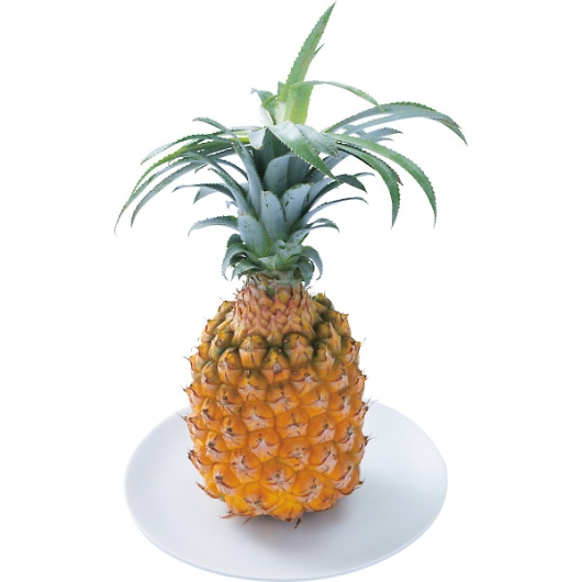 ��B�Y �{�̃t���[�c�Z�b�g �摜3
