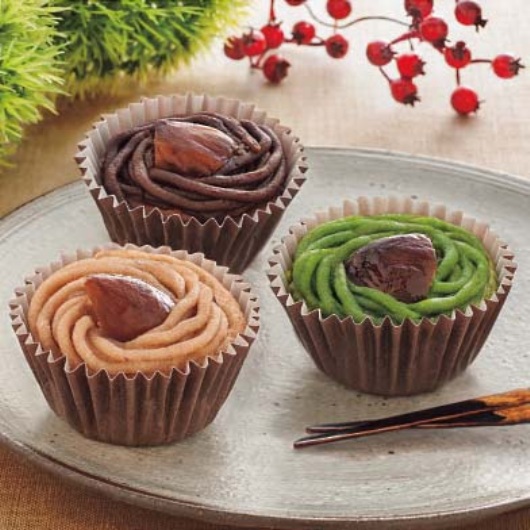 ���s �{�V�� �a��I�̏Ă������u���� �摜2