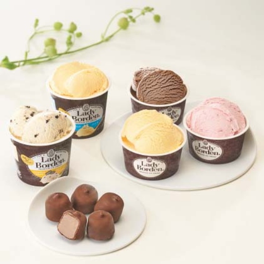 ���f�B�[�{�[�f�� �A�\�[�g�Z�b�g �摜2