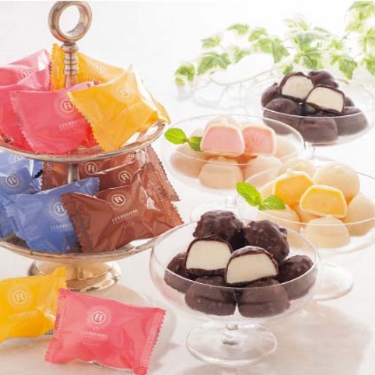 ������� �� ���W�F �G�M���X�L���[�� �V���R���A�C�X�{�[�� �摜2