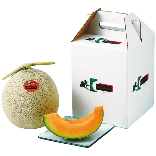 �k�C���Y �x�ǖ상����1�� 810039 [�Y���i] �摜1