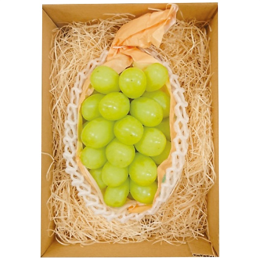 �R�������͒��쌧�Y�V���C���}�X�J�b�g1�[ [�Y���i] �摜1