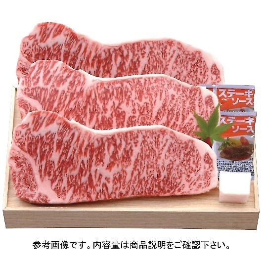 �琬�� �ߍ]�� �T�[���C���X�e�[�L3�� SEN-482 [�Y���i] �摜1