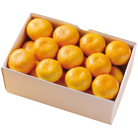 ���Q���Y �݂����2kg �摜1