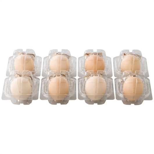 �k�₽�܂� ���܂��܂邲�ƃv���� KP-R8 �摜1