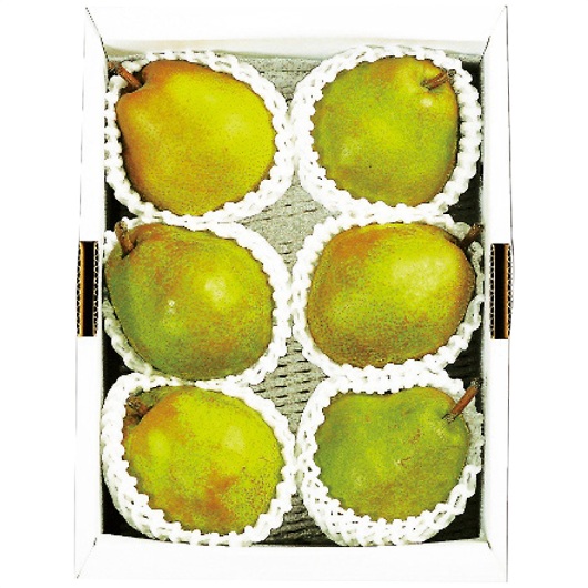 �����݉�̎R�`�Y���E�t�����X��2kg �摜1