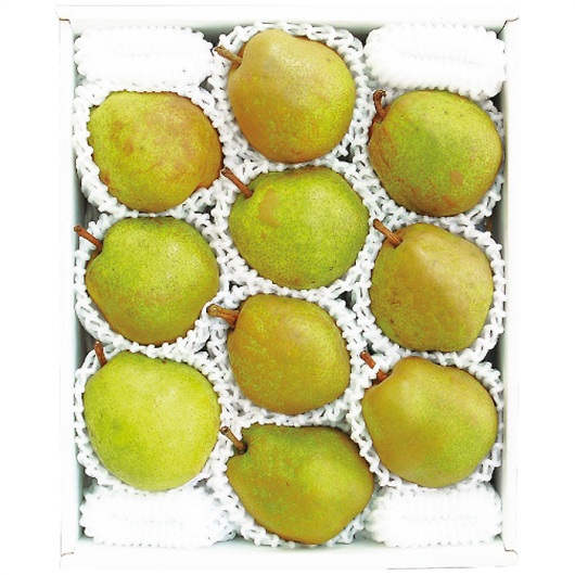 �����݉�̎R�`�Y���E�t�����X��3.2kg �摜1