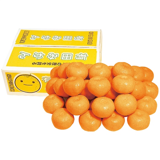 �a�̎R���Y �L�c�݂����5kg �摜1