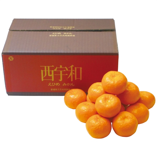 ���Q���Y �݂����3kg �摜1