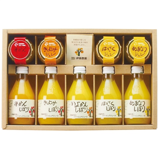 �ɓ��_�� 100���s���A�W���[�X���W�����Z�b�g V-113 �摜1