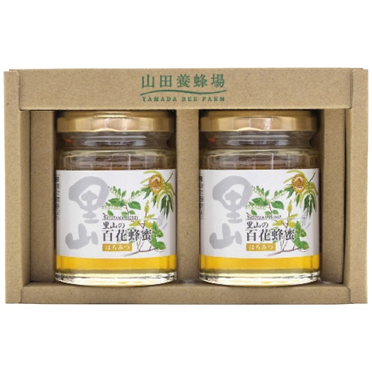 �R�c�{�I�� ���Y�I��2�{�Z�b�g S2-H2 �摜1