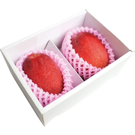 {茧Y}S[ 450g~2 YO-1102 摜1