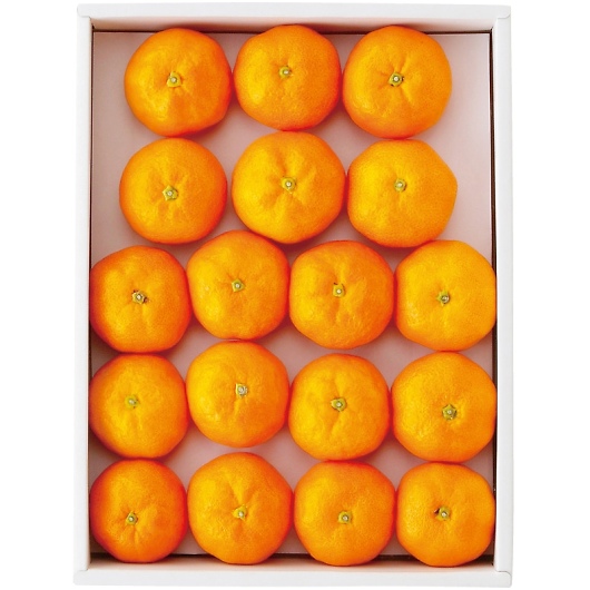 �n�E�X�݂��� YO-727 [�Y���i] �摜1