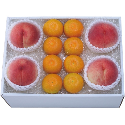 �R���̓��ƃn�E�X�݂���l���� 82648 [�Y���i] �摜1