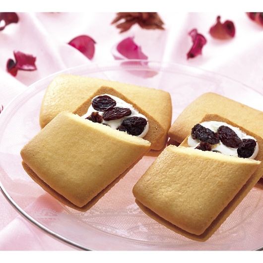 �����D�� ������[�Y���T���h PGS-291 �摜2