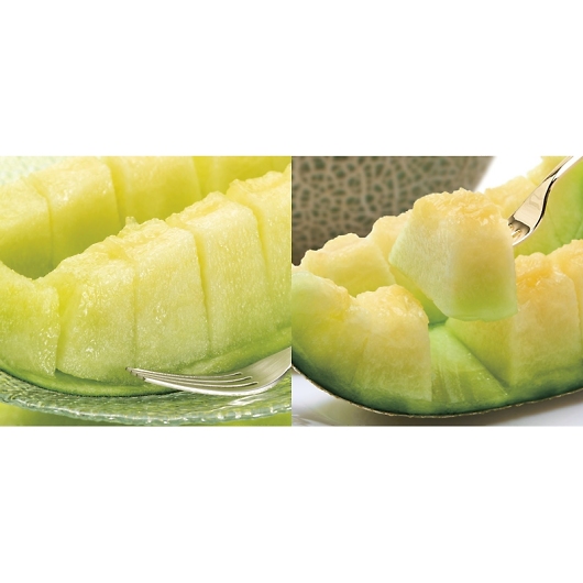 �_�C���ʉ� ��������׃����� MSK-10RW �摜2