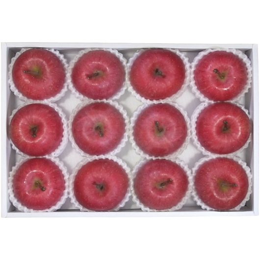 �_�C���ʉ� �X���Y ��������� AFR�]65RW �摜1