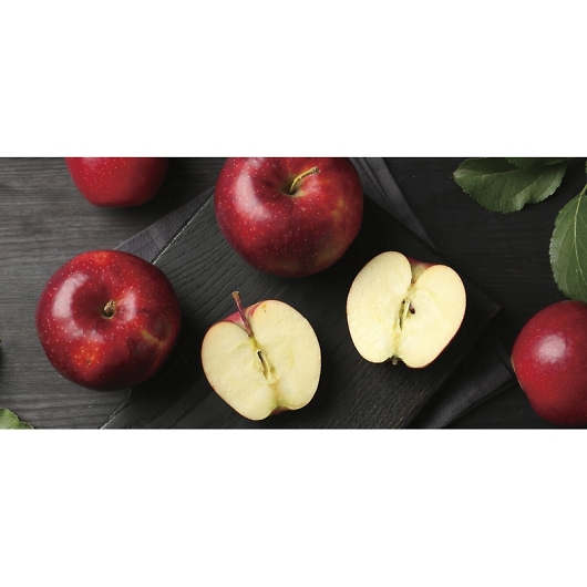 �_�C���ʉ� �X���Y ��������� AFR�]65RW �摜2