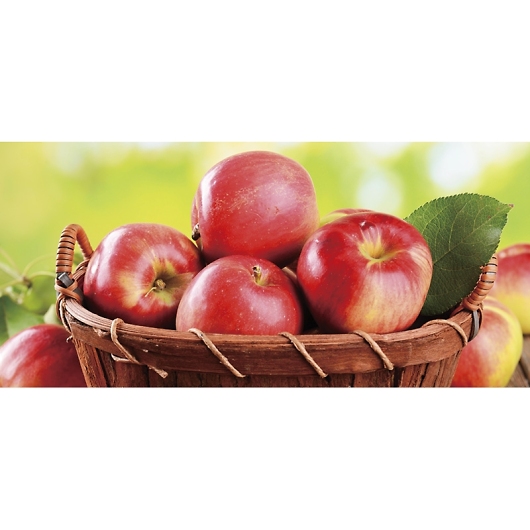 �_�C���ʉ� ���쌧�Y �T���ӂ���� RA-45RW �摜2