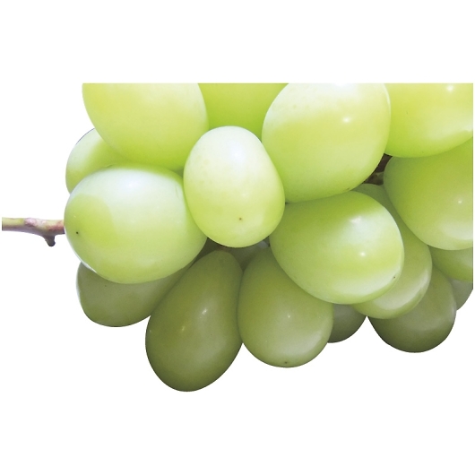 �_�C���ʉ� �V���C���}�X�J�b�g SYM-80RW �摜1