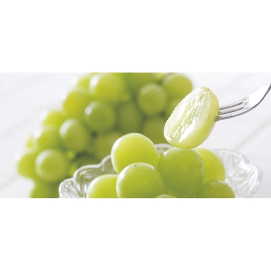 �_�C���ʉ� �V���C���}�X�J�b�g SYM-80RW �摜2