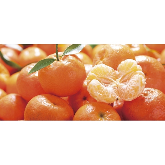 �_�C���ʉ� ���Q���Y �݂Ȃ݂̂��� EHM-42RW �摜2