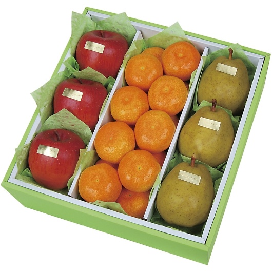 �_�C���ʉ� �E�C���^�[�t���[�c�l���� WF-55RW �摜1