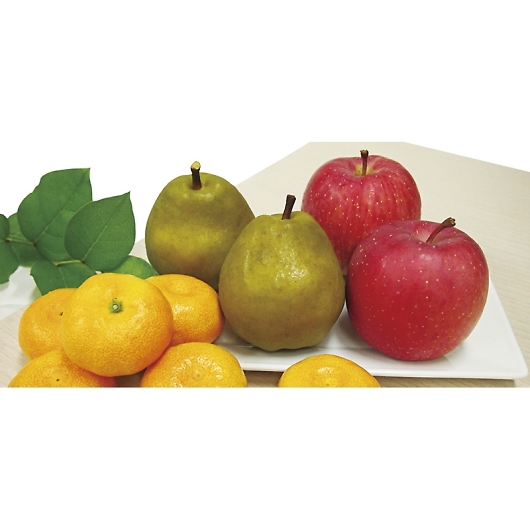 �_�C���ʉ� �E�C���^�[�t���[�c�l���� WF-55RW �摜2