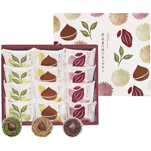 ���s �{�V�� �a��I�̏Ă������u���� YJ-SCM12 �摜1