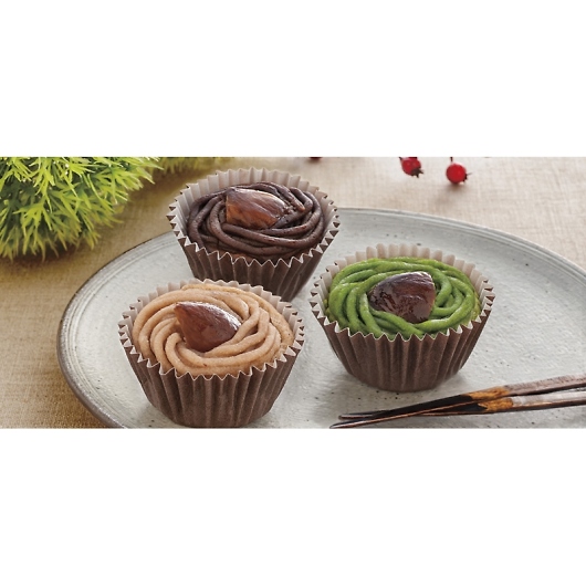 ���s �{�V�� �a��I�̏Ă������u���� YJ-SCM12 �摜2