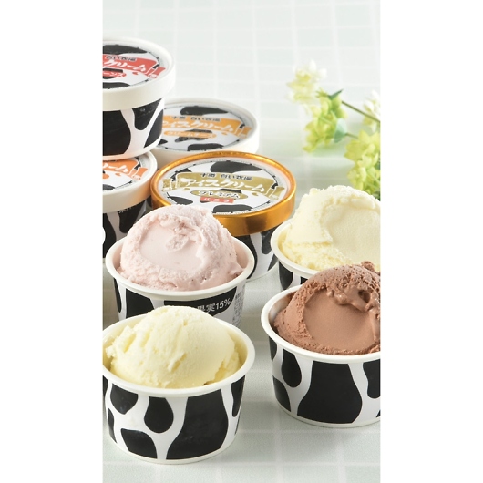 �\�������q��A�C�X�R���N�V���� TSBAC-11 �摜2