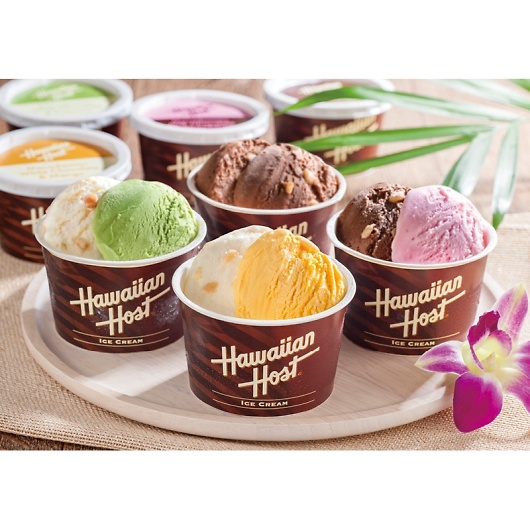 �n���C�A���z�[�X�g �}�J�_�~�A�i�b�c�A�C�X AH-HS �摜2