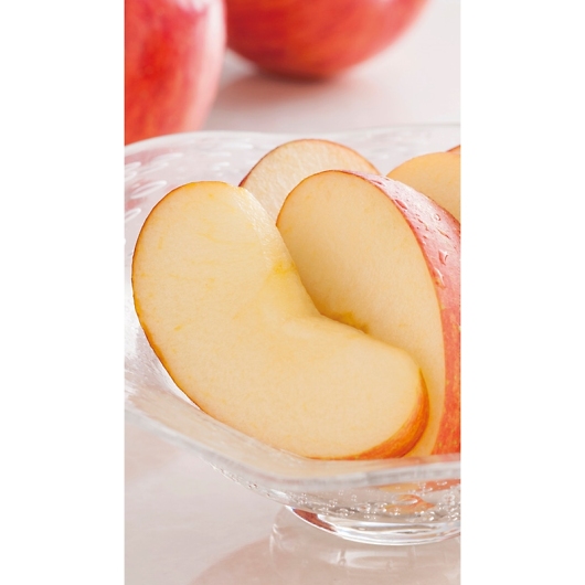 �X���Y ���㊮�n�T���ӂ���� 10�� H-A8S �摜2