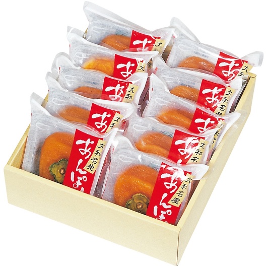 ���h ����ۊ` 10�� AP-10 �摜1