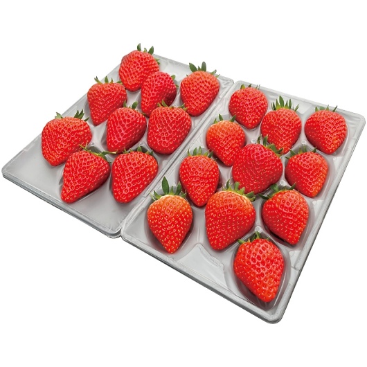 ���������������� �������Y �������H�ה�׃M�t�g F15-65 �摜1