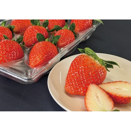 ���������������� �������Y �������H�ה�׃M�t�g F15-65 �摜2