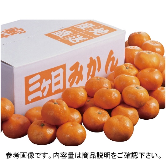 �É����Y �O�P���݂��� S�T�C�Y ��5kg YO-569 �摜1