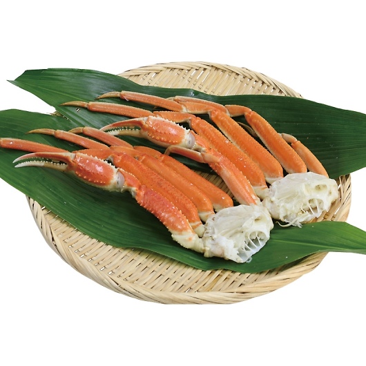 ���킢�I���r K912020-2 �摜1