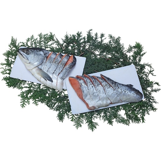 �k�C���Y��ѐV�����p�ؐg 7100 �摜1